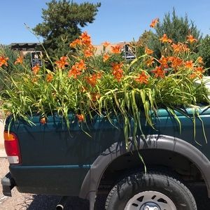 MOVING! MAKE AN OFFER!